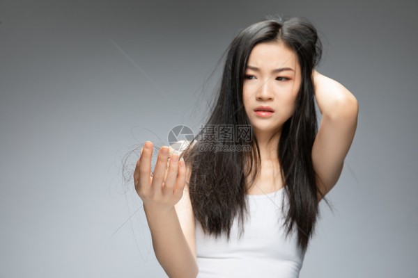 走进武汉蔡甸，体验茶文化的古韵风情！